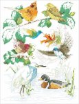 Bird Sampler (image for) Bird Sampler